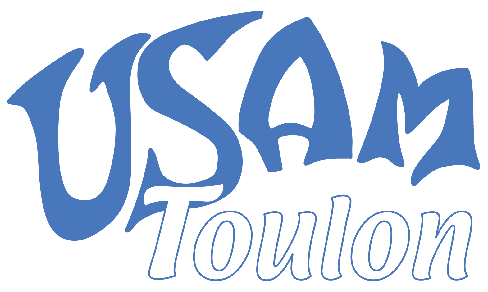 Logo USAM Bridge